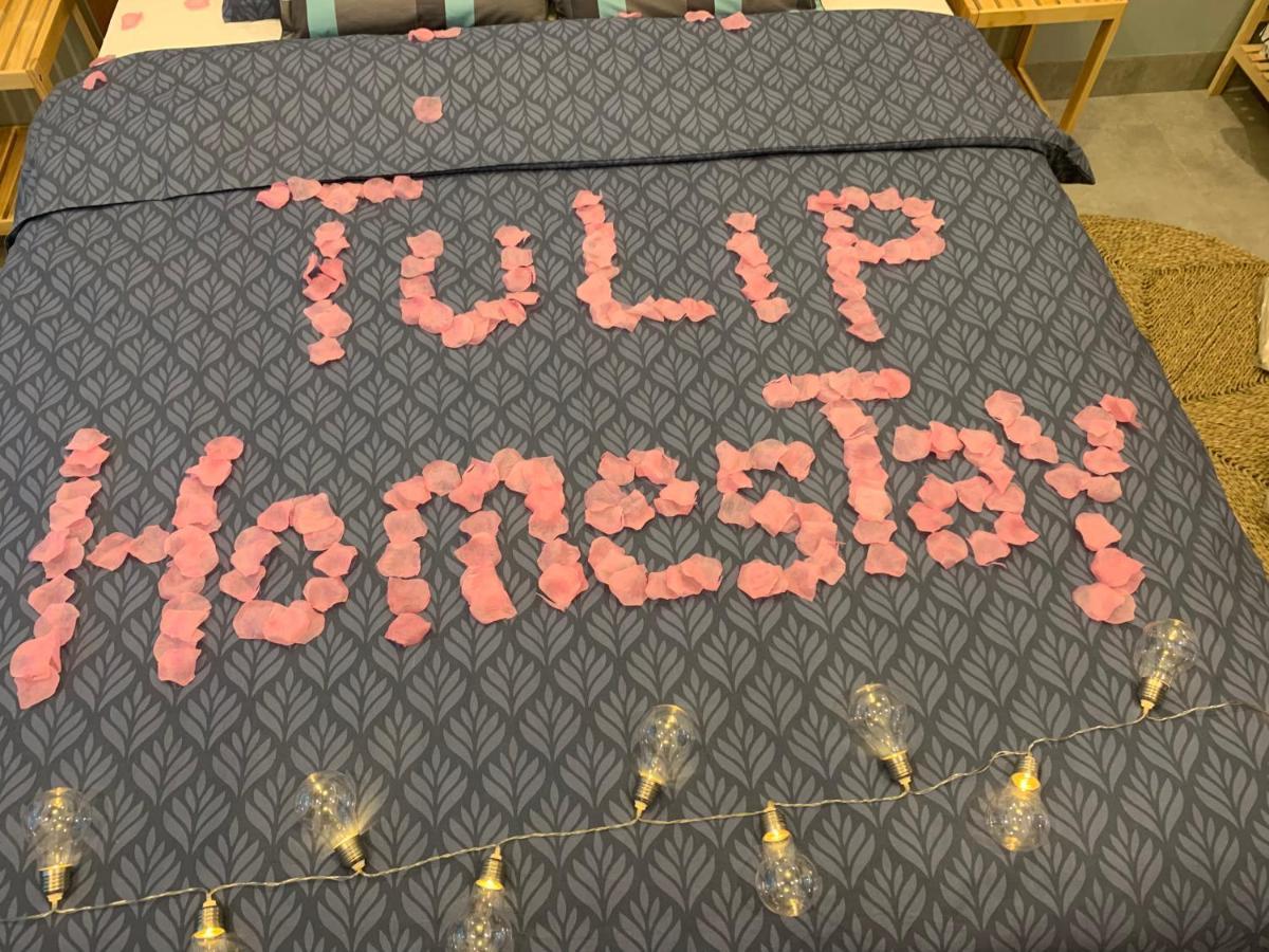 Tulip Homestay 下龍 外观 照片