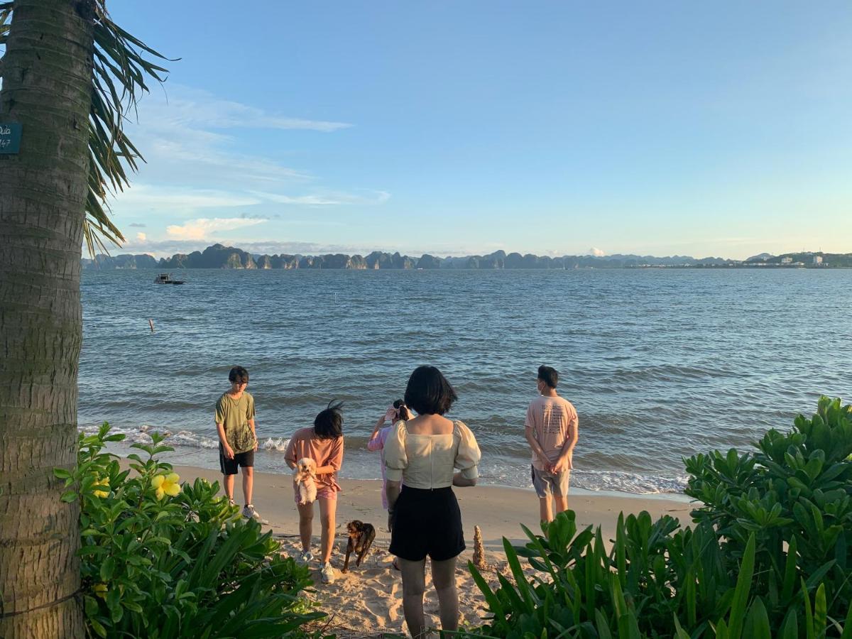 Tulip Homestay 下龍 外观 照片